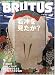 BRUTUS (ブルータス) 2006年 8/15号 [雑誌]