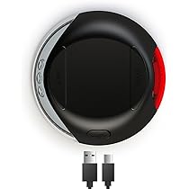 Amazon | フレキシ (flexi) 伸縮リード エクストリーム テープ [犬用