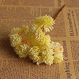 TOPmountain ガーデンジューシー フルーツ珍しい植物 草砂漠 人工植物の風景 フェイクフラワー 配置 ガーデンホームデコレーション