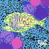 �����s���j�A(�ʏ��B-type)