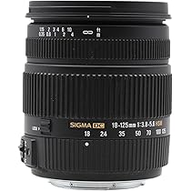 Amazon.co.jp: シグマ 18-125mm F3.8-5.6 DC HSM ソニー用