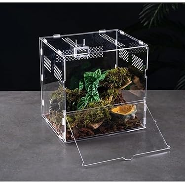 Amazon.co.jp 最新リリース: 爬虫類・両生類用飼育ケース・ケージ の