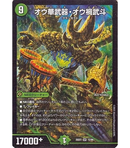 Amazon.co.jp: デュエルマスターズ 大革命のD ワイルド・サファリ