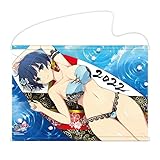 シノビマスター 閃乱カグラ NEW LINK B2タペストリー 夜桜（伝説爆乳祭）