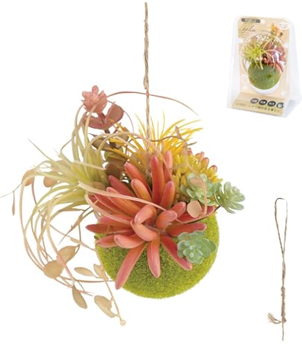 Amazon｜シルバー バッファロー サンリオ ハローキティ フェイス 3