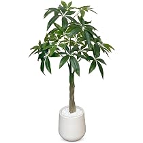 Amazon｜Kugusa 【生花店監修】フェイクグリーン パキラ 人工観葉植物