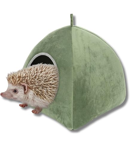 Amazon | CASA ハリネズミのふんわり包み込むベッド | マルカン | 飼育 