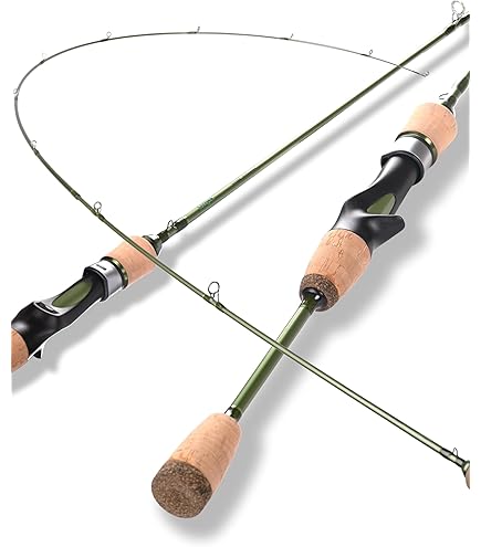 Shimano S610L-S Light Game Rod 23 Soare BB Ajing : Amazon.com.au