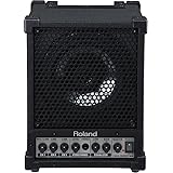 Roland Cube Monitor 30W CM-30