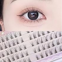 61BH6IbJC5L._AC_UL210_SR210,