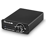 Douk Audio G4 サブウーファー / フル周波数 モノラルチャンネル デジタルパワーアンプ 100W