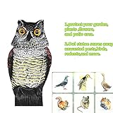 Zyurong　防鳥具ふくろう　鳥よけフクロウ　庭の装飾　【怖がらせ駆除 防鳥防獣対策】