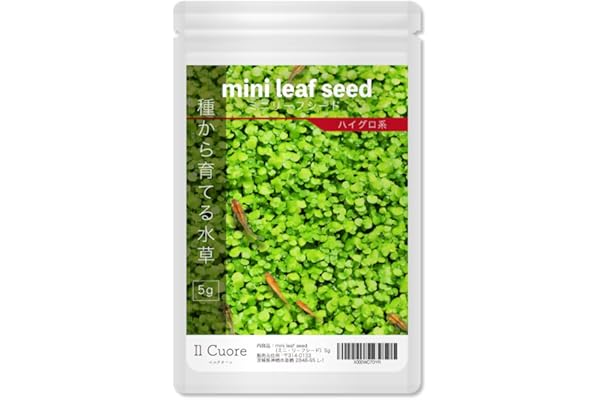 Amazon Co Jp 売れ筋ランキング 生体 水草 の中で最も人気のある商品です Amazon Co Jp 売れ筋ランキング 生体 水草 の中で最も人気のある商品です