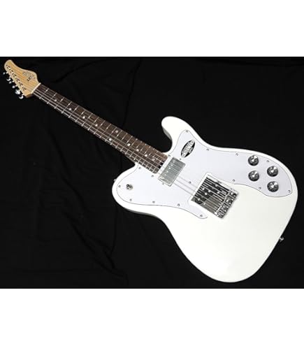 希少 SCHECTER シェクター テレキャスター タイプ エレキギター SCHECTER PS-PT-MH CH R シェクター テレキャスタータイプ