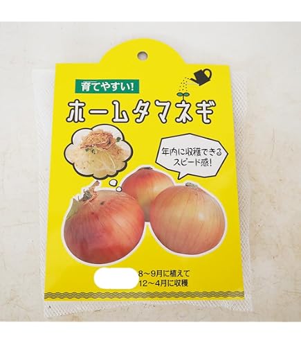 Amazon.co.jp: 行者にんにくの種 2026年7月採種 : DIY・工具