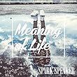Meaning of Life※通常盤 (CDのみ)