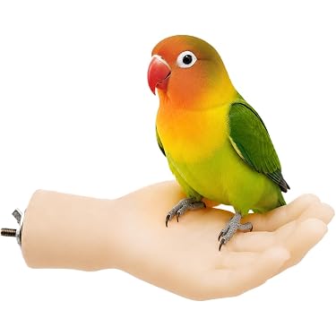 中型鳥用止まり木 吊り橋付き 鳥用止まり木 - Amazon.co.jp