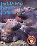 のんびりやのかばのひみつ (羽仁進の愛情いっぱい動物記 2)