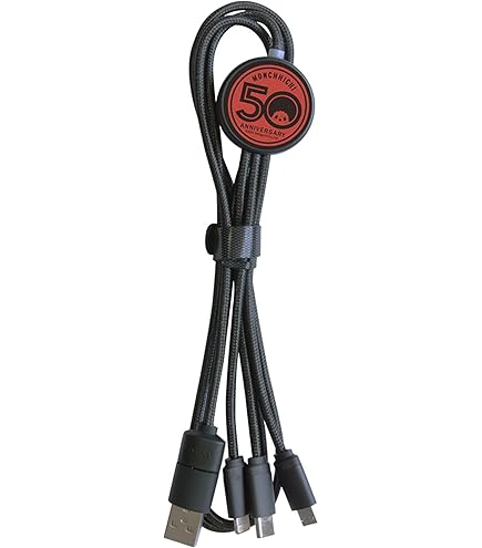 Amazon.co.jp: [グランサンク] 充電ケーブル タイプC ドムドム