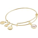 Alex and Ani Swarovski June Amethyst Bangle