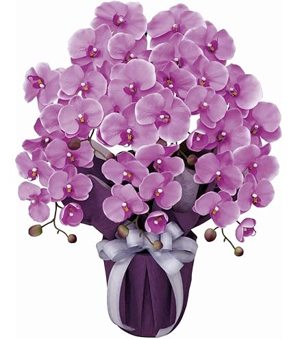 Amazon｜光の楽園 フェイクグリーン 造花 フレッシュ胡蝶蘭3本立W