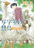 写字室の鵞鳥 欧州妖異譚18 (講談社X文庫)