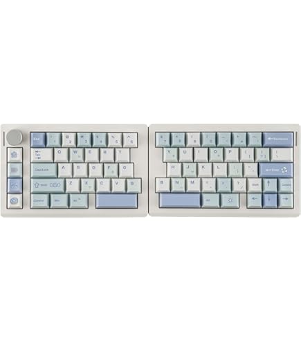 Amazon | ライジュウ NISABI V2 LAK キーキャップ 日本語配列 分割式