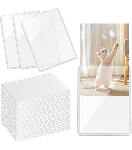 Amazon.co.jp: コレサポ 硬質カードケース スクエア 20枚(2枚入×10