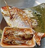 焼き鯛 天然 真鯛 200g×3尾 塩焼き 山形県産 鯛めしレシピつき