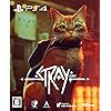 Stray（ストレイ）