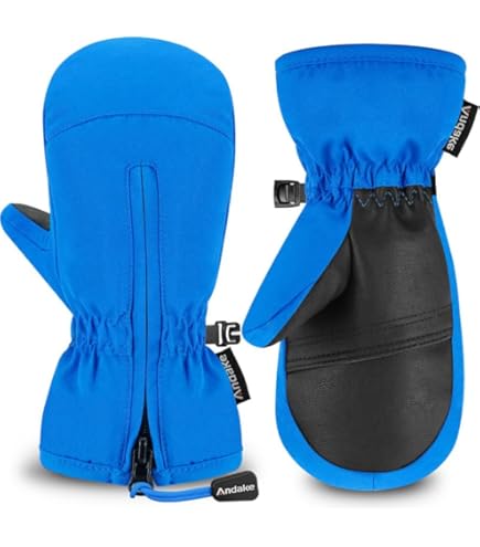 Amazon | ロイシュ（ロイシュ） MAXI R-TEX XT MITTEN ミトングローブ