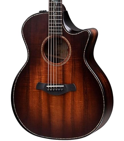 Amazon | Taylor 224ce-K DLX ハワイアン・コア Top テイラー
