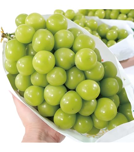 Amazon.co.jp: 訳あり シャインマスカット 2パック入り : 食品・飲料
