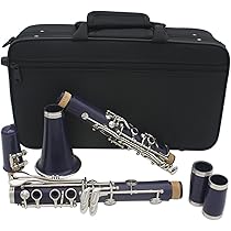 HILAX Bbクラリネット 17キー 初心者向け 黒 Amazon | クラリネット 17 キー木製ブラックゴールド