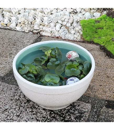 Amazon.co.jp: 水鉢 大型 特大 洋蓮黒 10号 鉢カバー プランターカバー