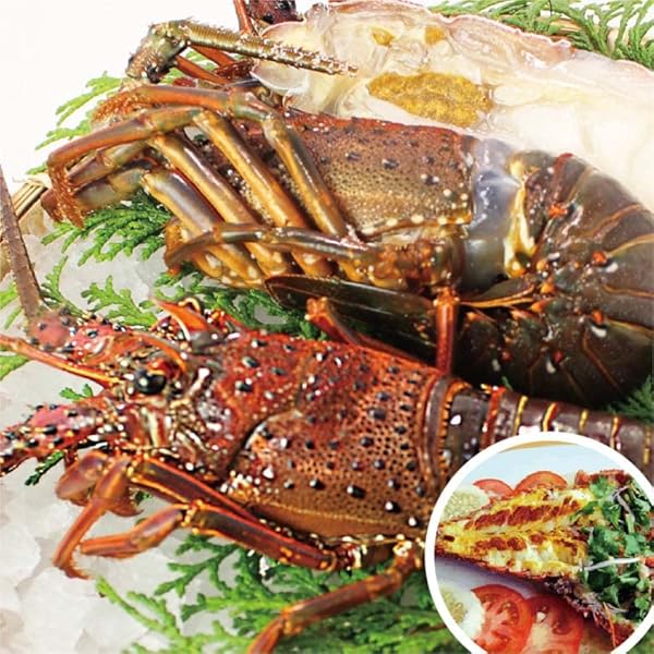 Amazon | 伊勢海老 1kg 3-5匹 [訳あり] | マルカ水産 | エビ 通販
