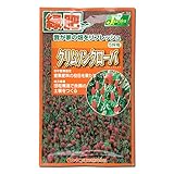 クリムソンクローバー(50ml入り) 4袋セット ノーブランド品