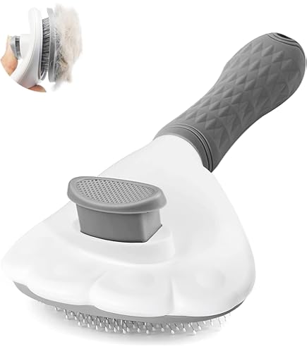 Amazon.co.jp: BIOGANCE マッサージブラシ 化粧箱入り 高級ナッツの木