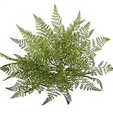 SunAngel 2pcs Artificial Soft Plastic Boston Frens Bush Faux Grass Leaves Fake Shrubs Plant Greenery