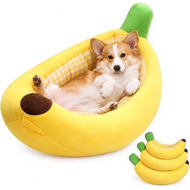 Amazon.co.jp 最新リリース: 犬用ベッド・クッション の新着ランキング