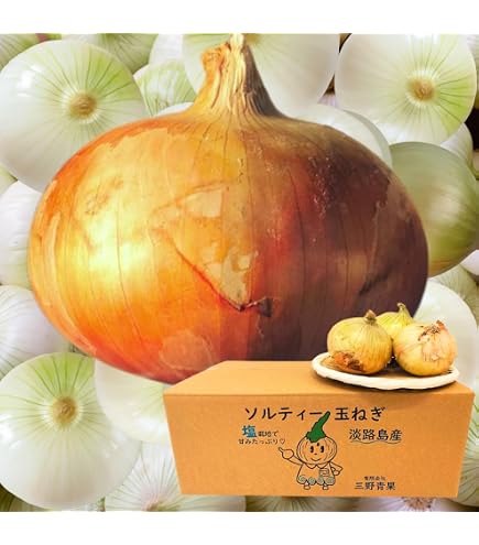 Amazon.co.jp: フランスの野菜通年 エシャロットフランス産約1Kg