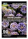 アキレギア　ブルガリス（西洋おだまき） ウィンキーシリーズ　ダブルブルーホワイト　Prime Perennial Collection