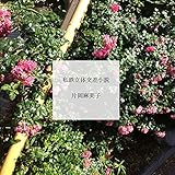 私鉄立体交差小説