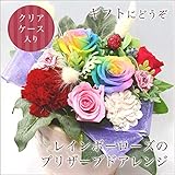 ＜母の日 ギフト＞ レインボーローズ プリザーブドフラワー アレンジ　[レインボーDEAR] クリアケース入り レインボー バラ カーネーション