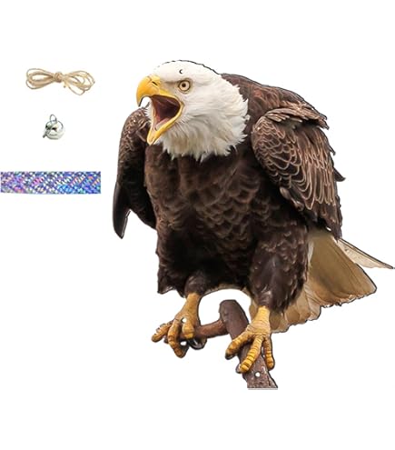 Amazon.co.jp: PAVIKE 鳥避け 鳥避けグッズ 鳩よけ ツバメよけ対策