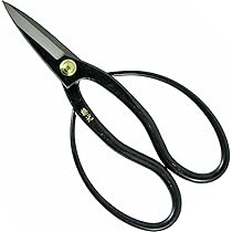 61Bm97rTLCL._AC_UL210_SR210,