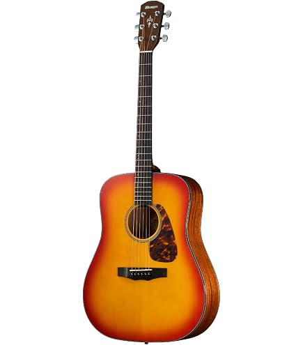 Amazon.co.jp: Morris モーリス Perfomers Edition M-021 BLK