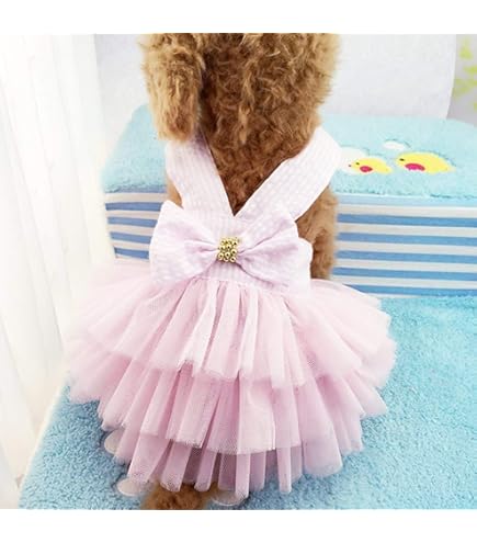 4. Juli Hundekleid Für Kleine Hunde & Katzen – Mit Tutu-Rock, 'Mein 1. 4. Juli' Aufdruck