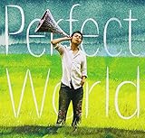 Perfect World