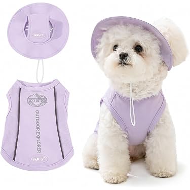 Amazon.co.jp 最新リリース: 犬用服・アクセサリ の新着ランキングです。